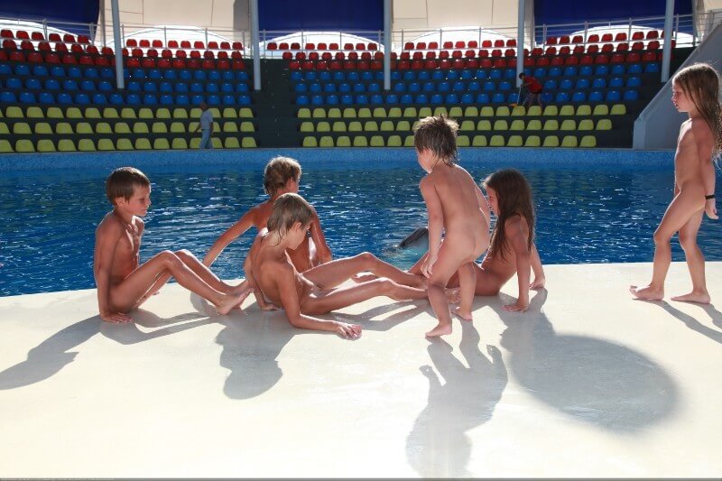 Swimming dolphins photo gallery - What Do You Know About the Culture of Nudity