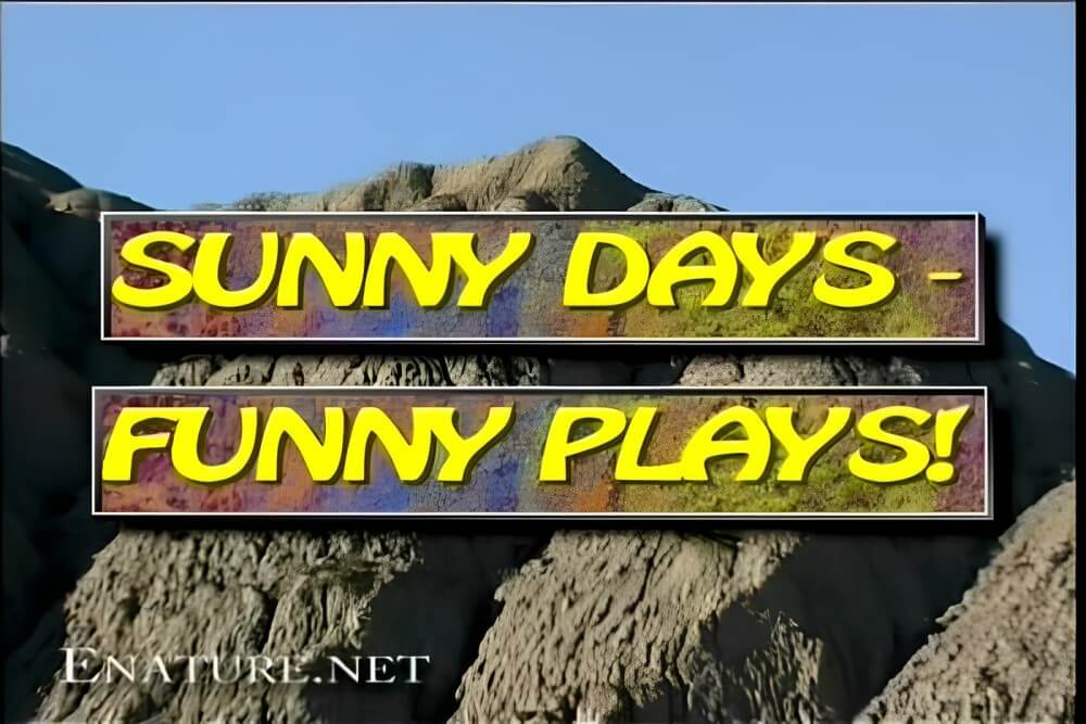 Enature - Sunny Days – Funny Plays - Travel with elements of naturism