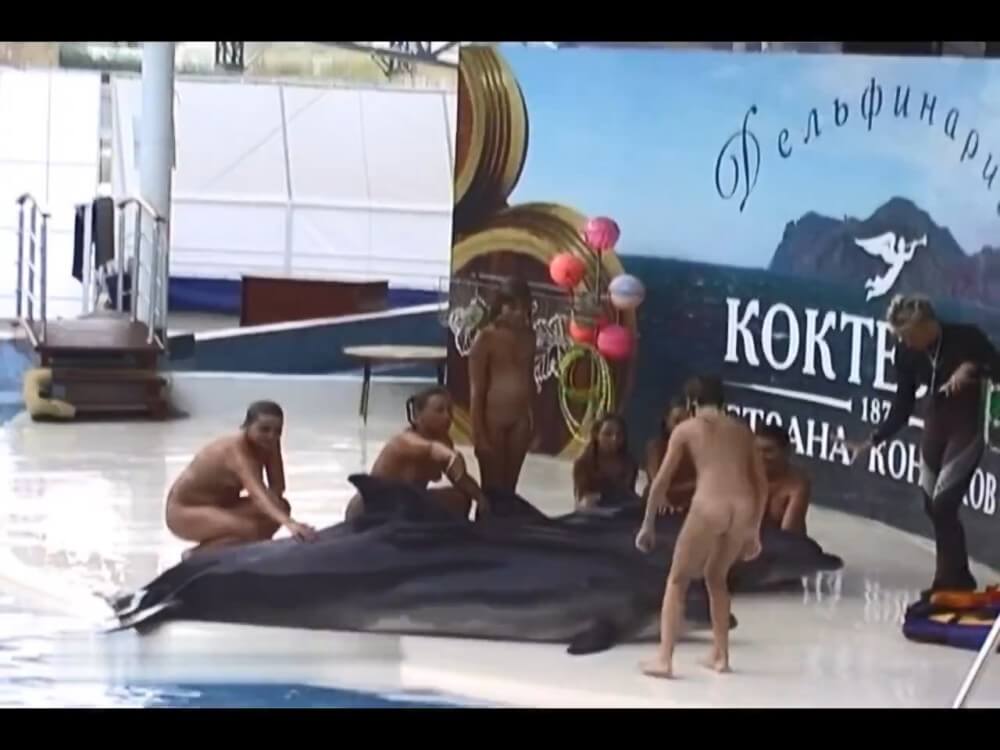 Relaxing at the dolphinarium - The practice of nudism fosters trust and honesty