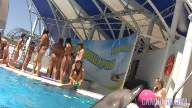Amazing Dolphin Encounter HD video - In our home, we are all nudists